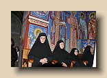 P1090405 (Medium)